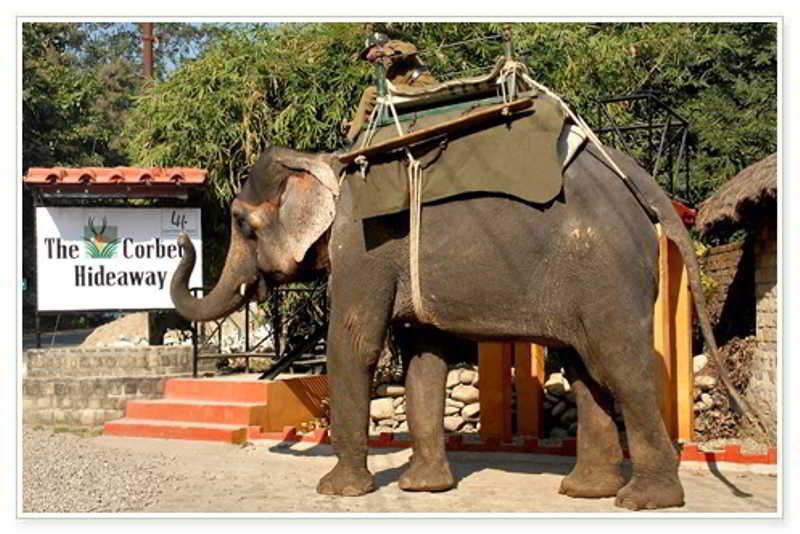 Taj Corbett Resort And Spa Uttarakhand Rāmnagar Extérieur photo